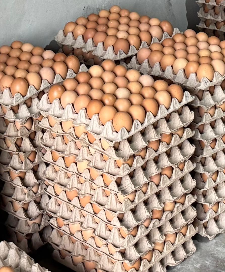 whatsapp image 2025 09 16 at 11.42.13 f7aa45ec