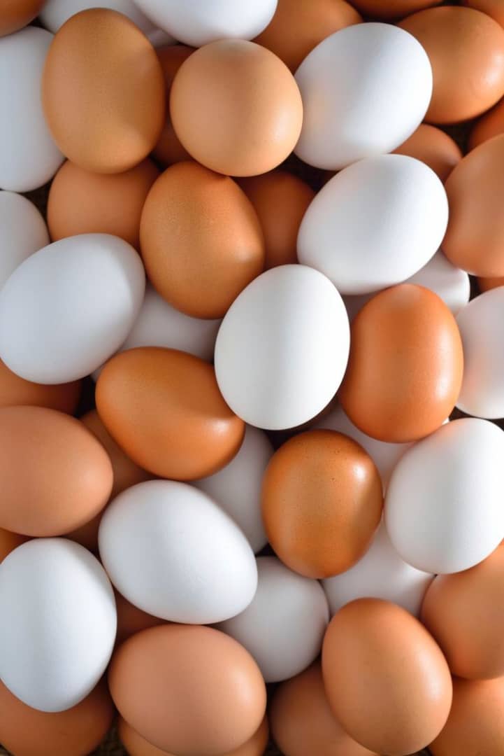 whatsapp image 2025 09 16 at 23.01.27 5e3885ff