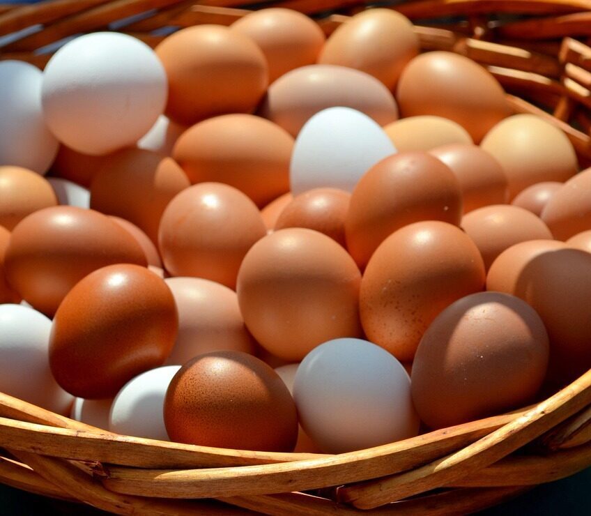 eggs, farm shop, organic eggs, agriculture, natural product, nourishment, egg shells, meal, market, farmers local market,