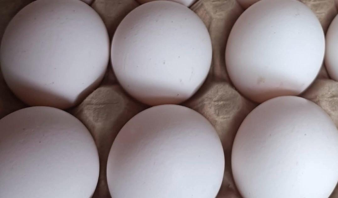 clean, fresh, farm eggs