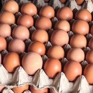 Brown eggs – 30 eggs per tray